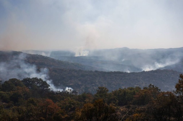 Zjarri në Evros/ Flakët shkrumbuan mbi 82.600 hektarë deri ditën e hënë