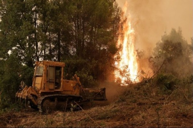 Greqi, frikë nga mbërritja e zjarreve në qytete
