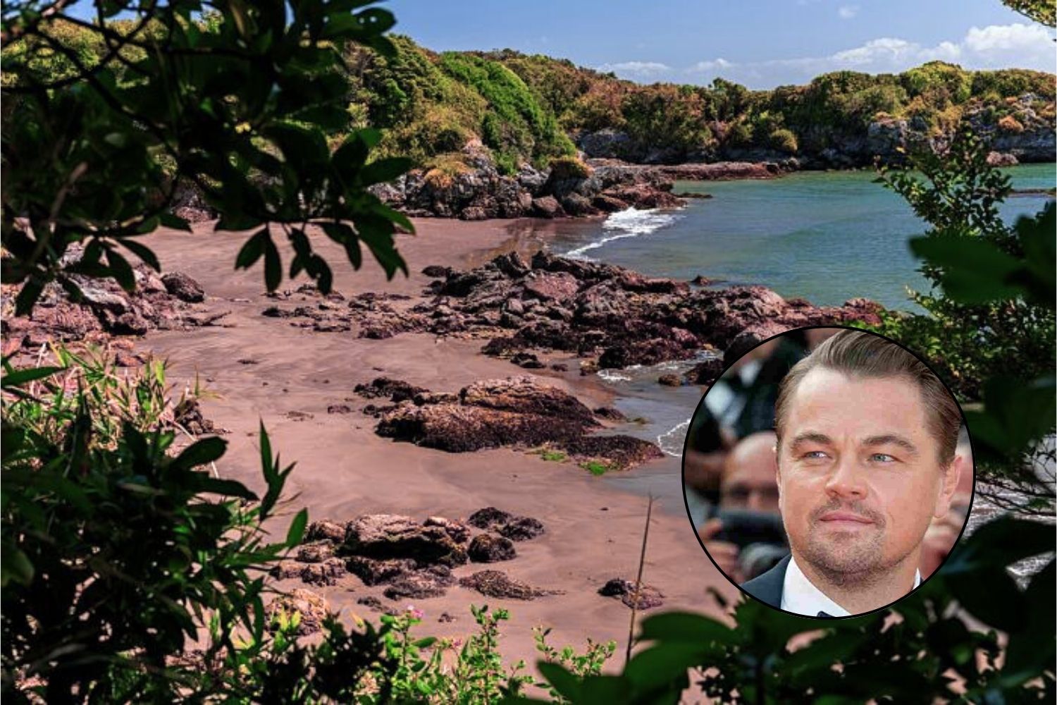 Ishulli i Guafo-s në Kili, një gur themelor për biodiversitetin, tani do të mbrohet nga Leonardo DiCaprio