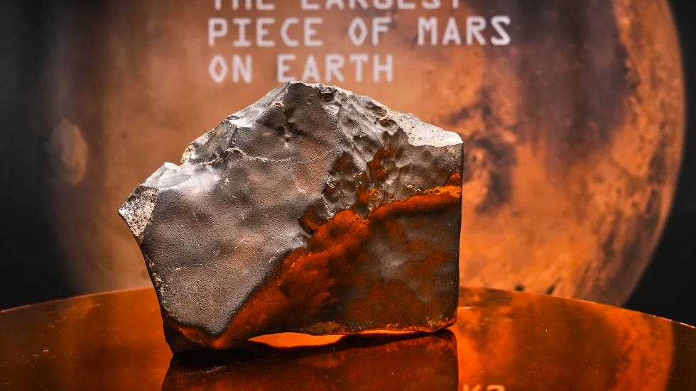 Shitje rekord në Nju Jork, një meteorit nga Marsi dhe skeleti i një dinosauri arrijnë vlera marramendëse