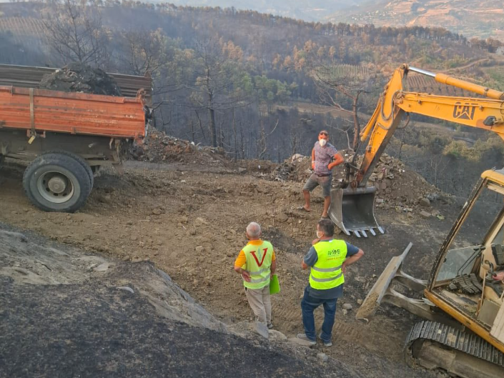 Dëme të mëdha nga zjarret, 133 krerë bagëti dhe mbi 600 zgjoje bletësh u dogjën në jug të vendit