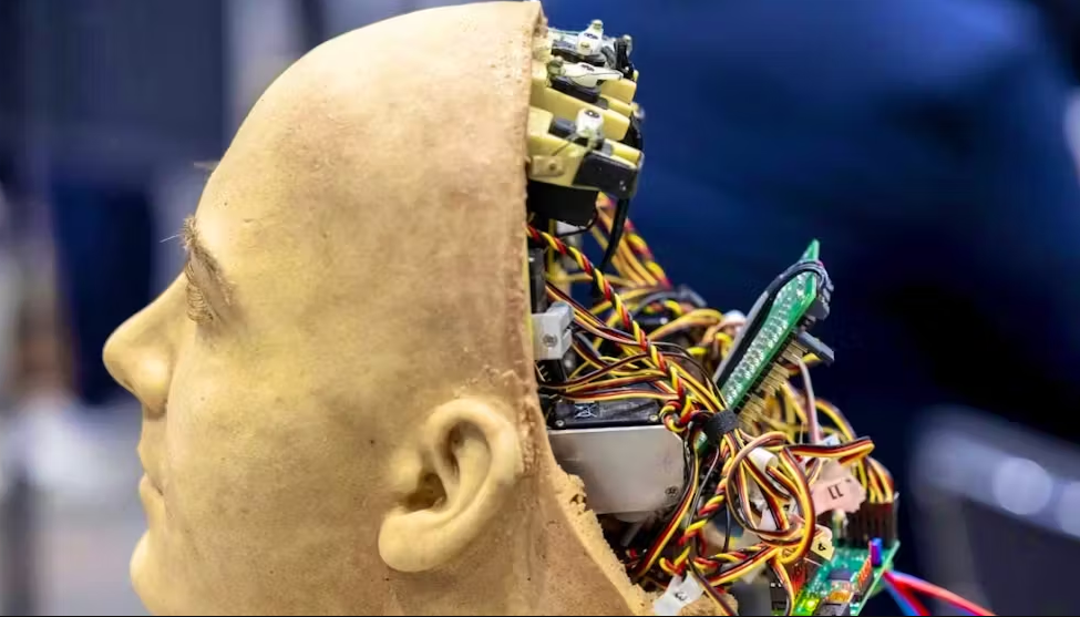 Inteligjenca Artificiale “godet” më fort të rinjtë: Rënie e ndjeshme e punësimit në sektorët teknologjikë