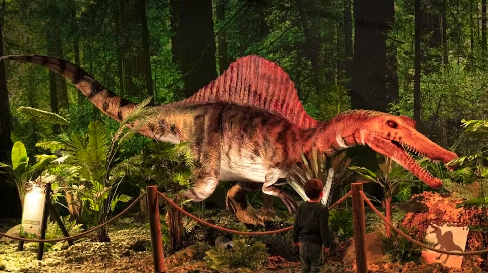 Zbulohet në Angli dinosauri i ri me “velë” në shpinë, dy metra i gjatë dhe me peshë një ton 