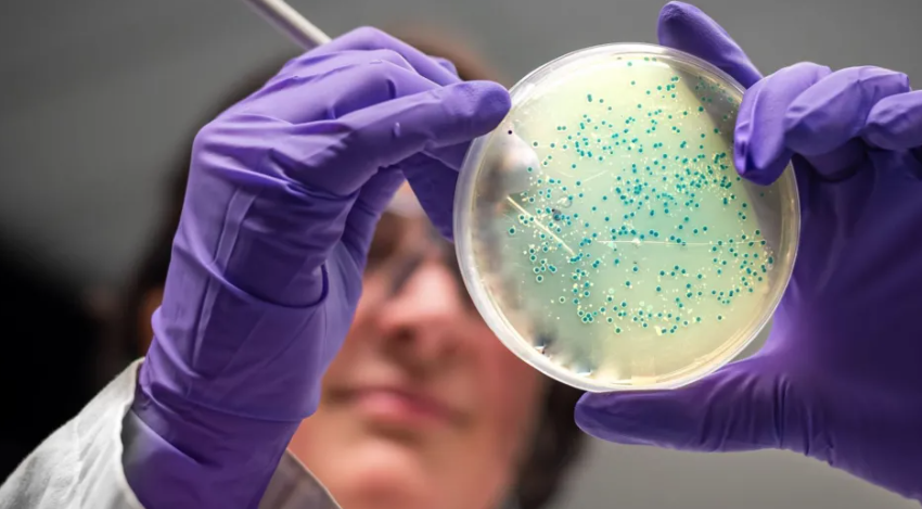 AI shpik antibiotikë për gonorrenë dhe superbakteret rezistente ndaj ilaçeve