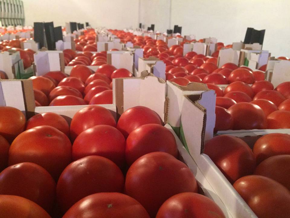 Agroindustria rritet me 12,3%, Denaj: Synojmë ta kthejmë në motor të zhvillimit rural dhe ekonomik