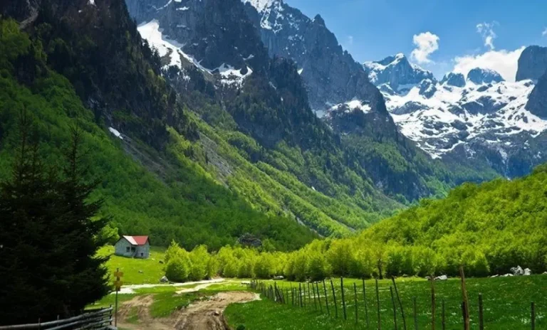 Interes i lartë për “Paketën e Maleve”, MIA: Mbi 3300 aplikime, Shkodra kryeson
