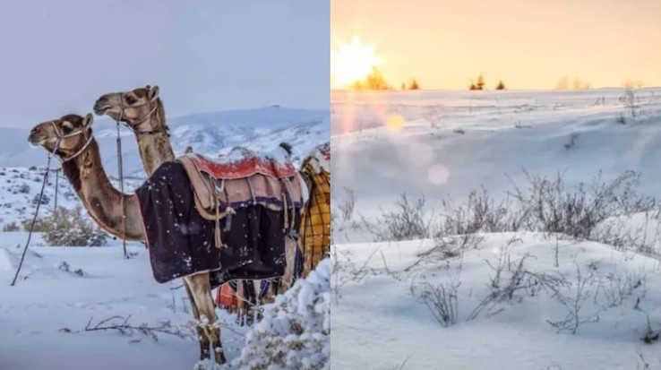 E pazakontë, shkretëtira arabe zbardhet nga dëbora pas 30 vitesh (Video)