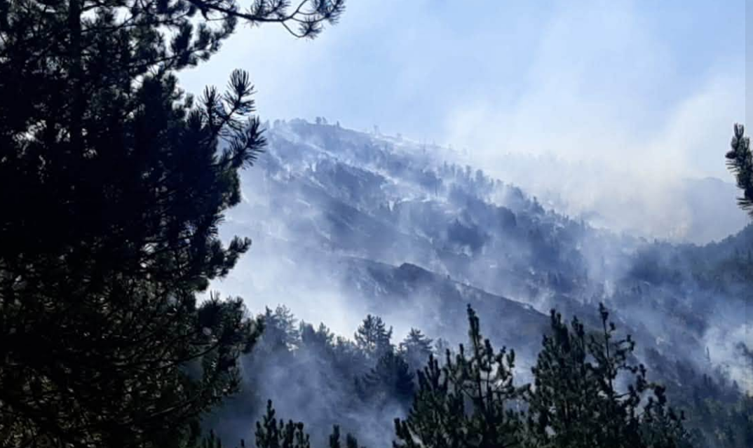 Zjarret- Ende aktive 9 vatra, rrezik për banesat në Gurë-Lurë të Dibrës. Në terren 260 forca operacionale, 192 efektivë të FA, 3 helikopterë dhe 2 avionë