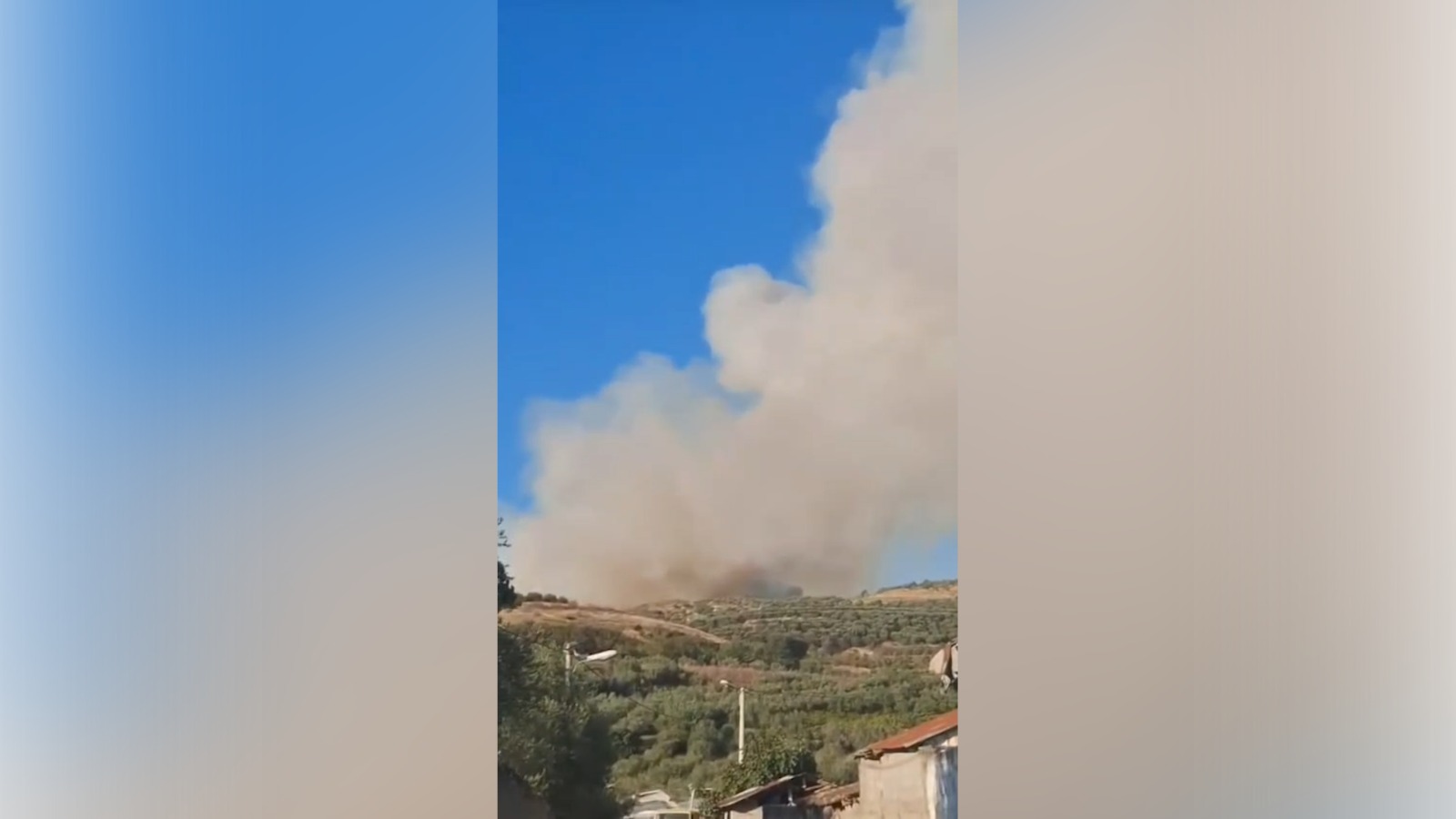 Fier/ Zjarr i përmasave të mëdha në ullishtet e Kreshpanit, rrezikohet masivi pyjor me pisha