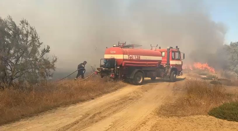 Zjarr në Akërni, digjen toka me ullinj. Banori: Më janë djegur 70 hektarë tokë, arrita të shpëtoja bagëtinë