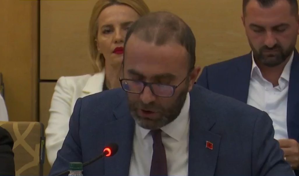 Bardhi: Shqipëria bëhet europiane kur institucionet funksionojnë sipas standardeve europiane
