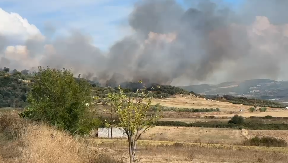 Vlorë- Zjarr në fshatrat Bunavi dhe Grabian, rrezikohen tre banesa, nis ndërhyrja e zjarrfikësve