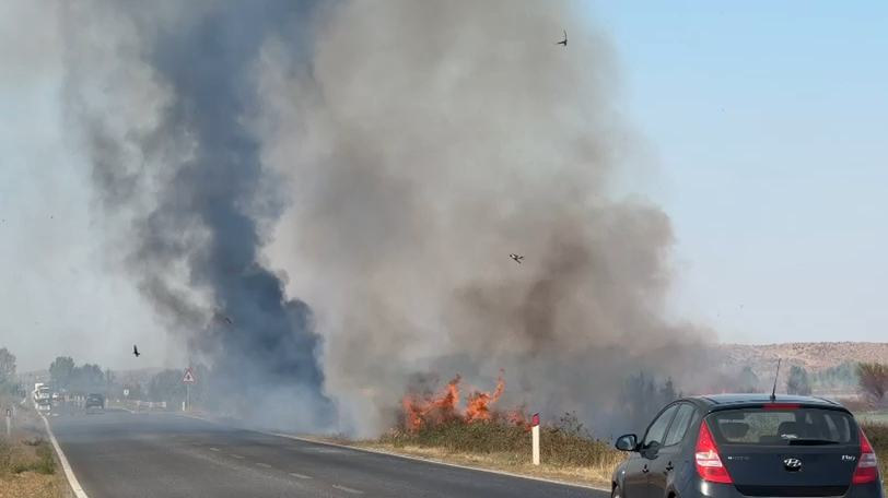 Zjarr në zonën e Zadrimës, flakët pranë aksit Lezhë-Shkodër